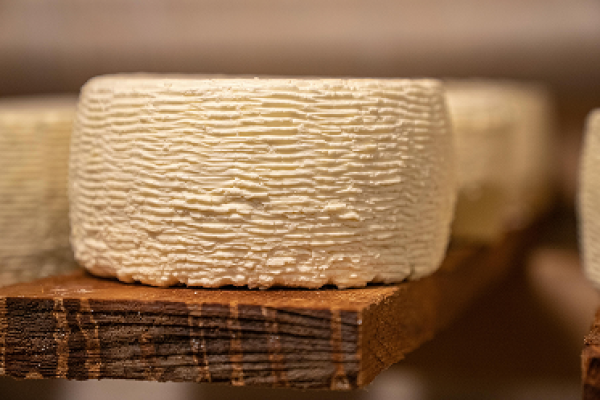 Les produits du terroir Corse à bord